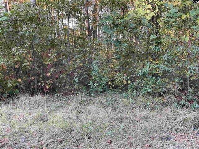 Land for sale in Barnwell, South Carolina