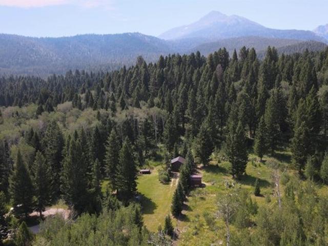 Land for sale in Island Park, Idaho