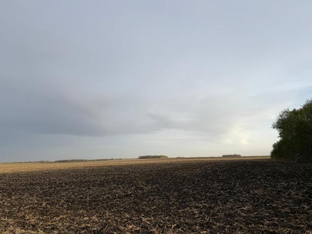 Land for sale in Dawson, Lac qui Parle County