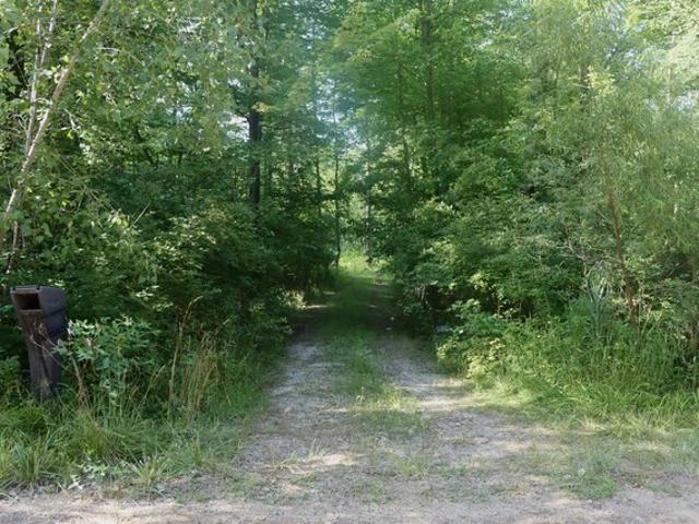 Land for sale in Gratiot, Michigan