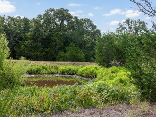 Land for sale in Dime Box, Texas