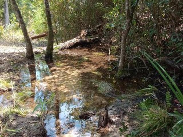 Land for sale in Marianna, Florida
