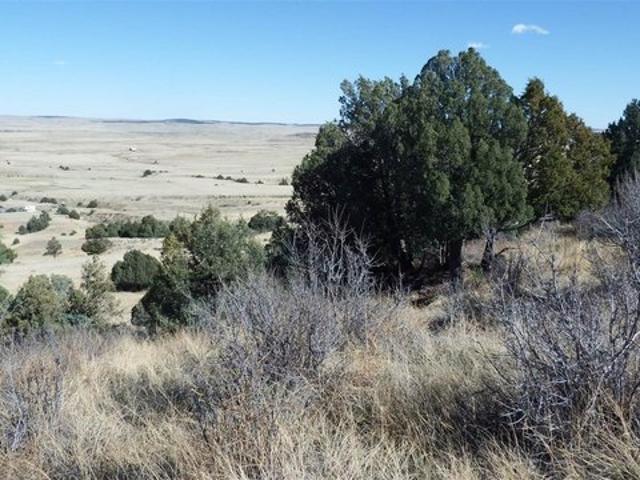 Land for sale in Kiowa, Colorado