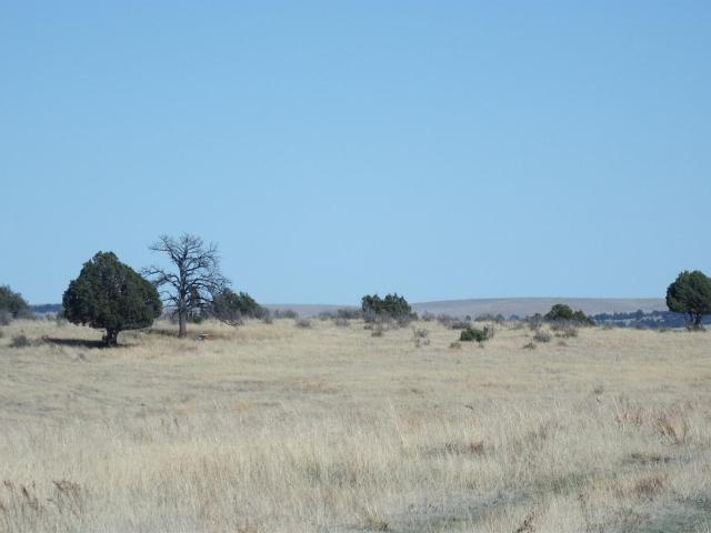 Land for sale in Kiowa, Colorado