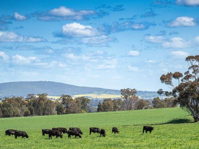 Acreage for sale in Walbundrie, New South Wales