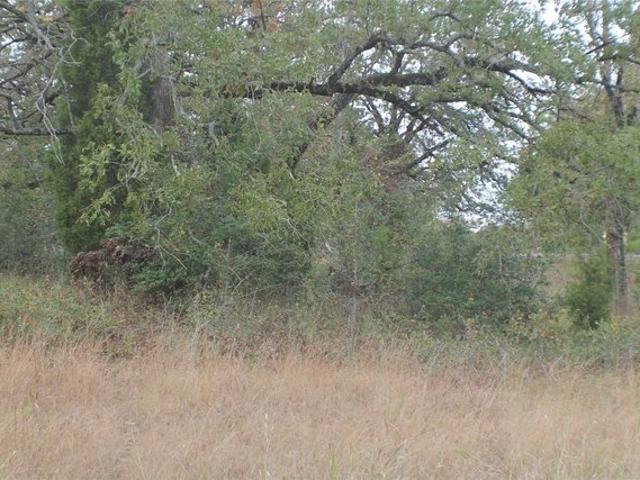 Land for sale in Malakoff, Henderson County