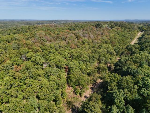 Land for sale in Cushman, Independence County