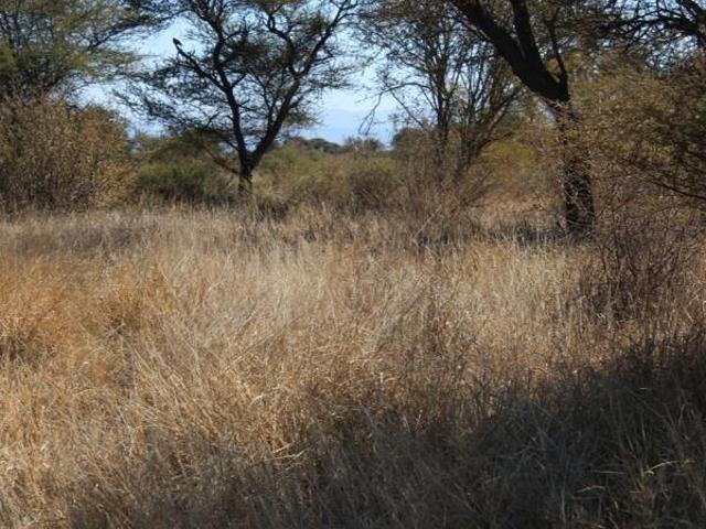 Land for sale in Limpopo