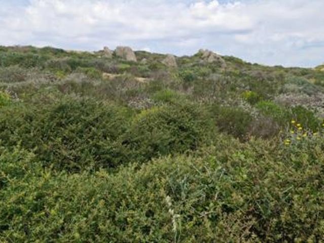 Land for sale in Western Cape