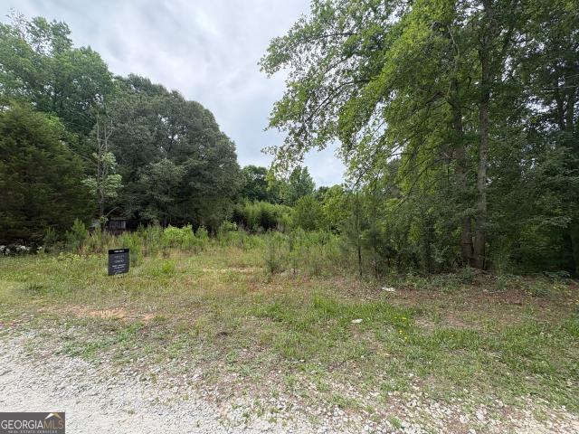 Land for sale in Hogansville, Georgia