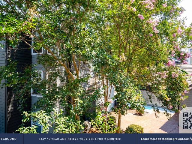 Apartment for rent in Sunnyvale, California