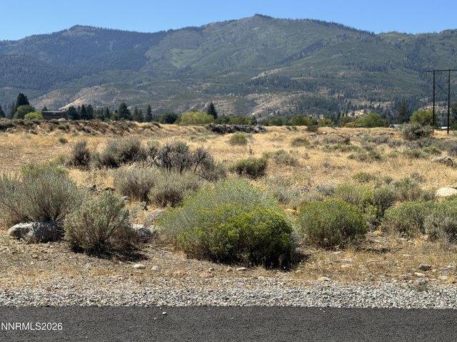 Land for sale in Verdi, Nevada