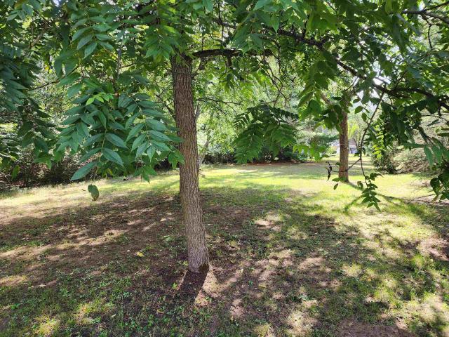 House for sale in Isabella, Michigan