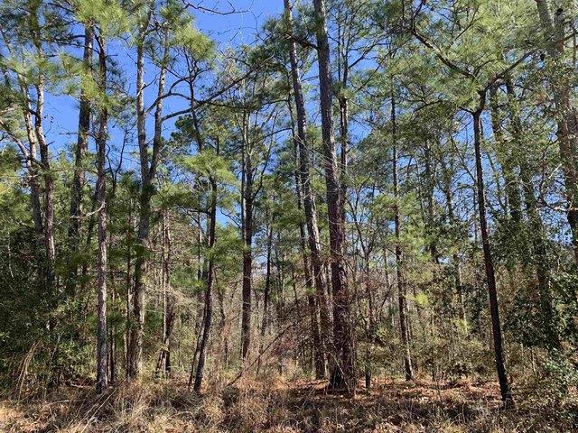 Land for sale in Sabine, Texas