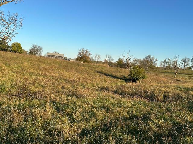 Land for sale in Georgetown, Scott County