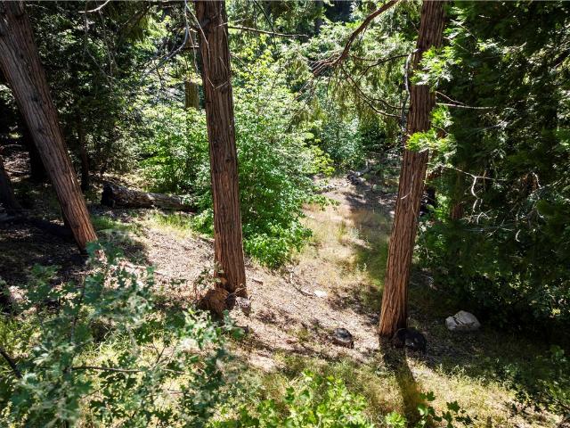 Land for sale in Cedar Glen, California