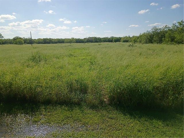 Land for sale in Alice, Texas