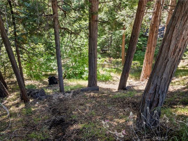 Property for sale in Cedar Glen, California