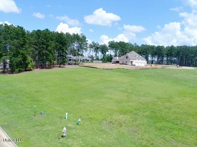 Land for sale in Madison, Mississippi