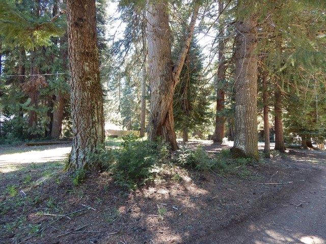Land for sale in Oregonia