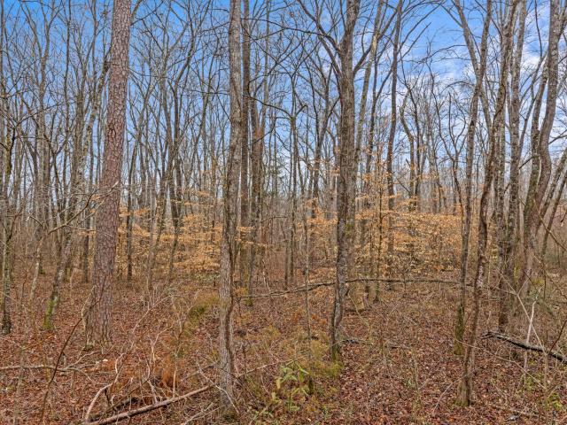 Land for sale in Tennessee