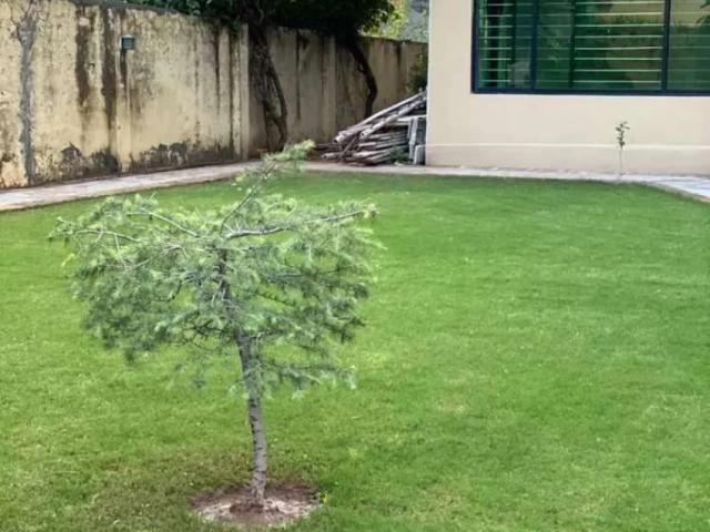 Land for sale in Islamabad
