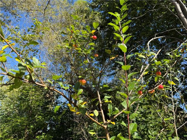 Land for sale in Town of Walworth, Town of Macedon
