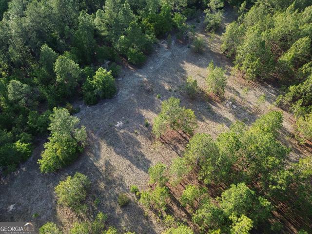 Land for sale in Cadwell, Georgia