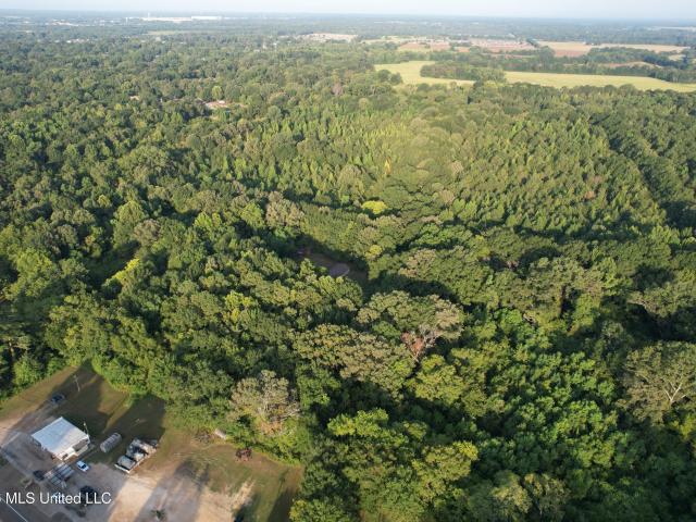 Land for sale in Canton, Mississippi