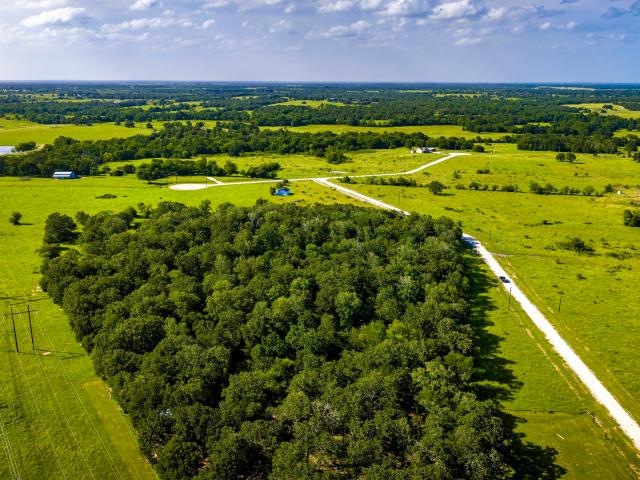 Land for sale in North Zulch, Texas