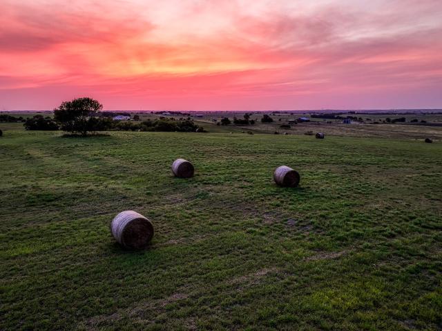 Farm for sale in Moulton, Texas