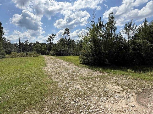 Land for sale in Kountze, Hardin County