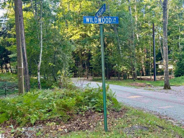 Land for sale in Eastport, Michigan