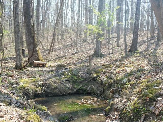 Land for sale in Spring City, East Tennessee