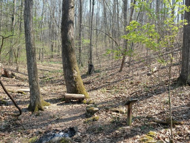 Land for sale in Tennessee
