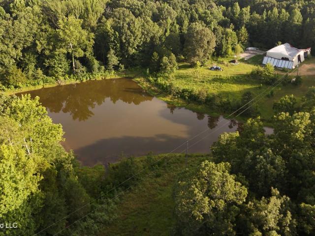 Land for sale in Tate, Mississippi
