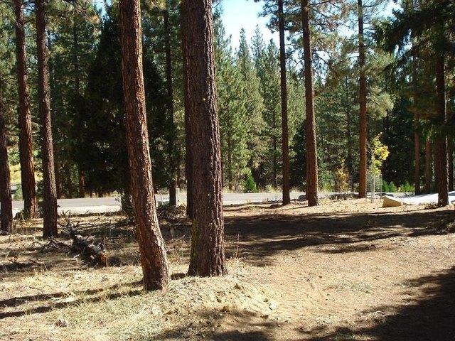 Land for sale in Portola, California