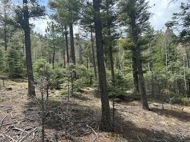 Land for sale in Manitou Springs