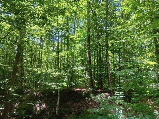 Land for sale in Maryland, New York