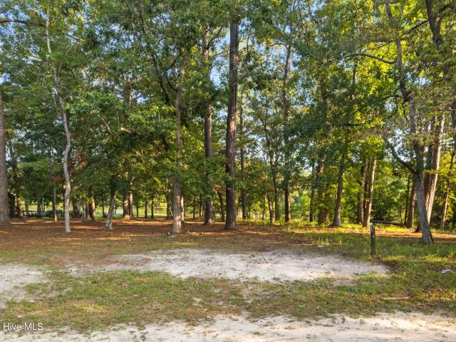 Land for sale in Ash, North Carolina