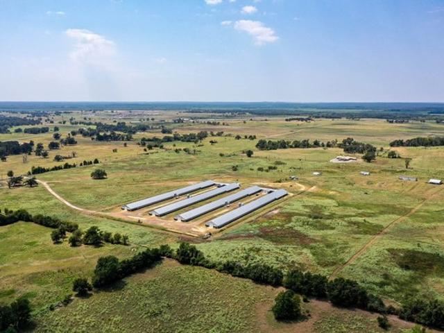 Farm for sale in Tennessee Colony, Texas
