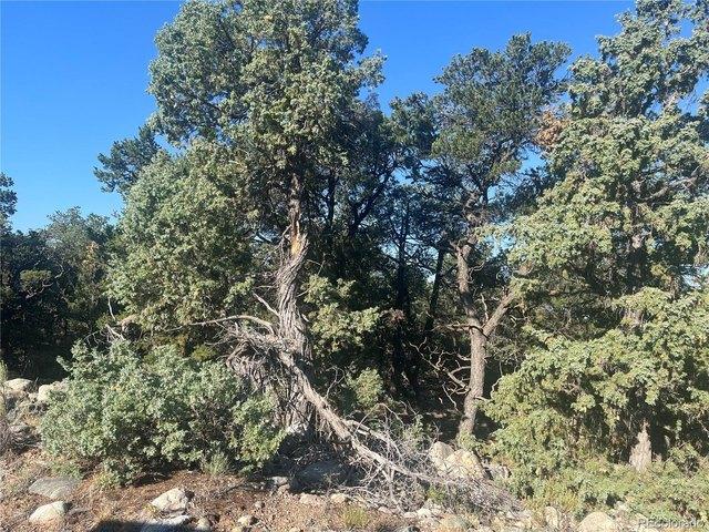 Land for sale in Crestone, Colorado