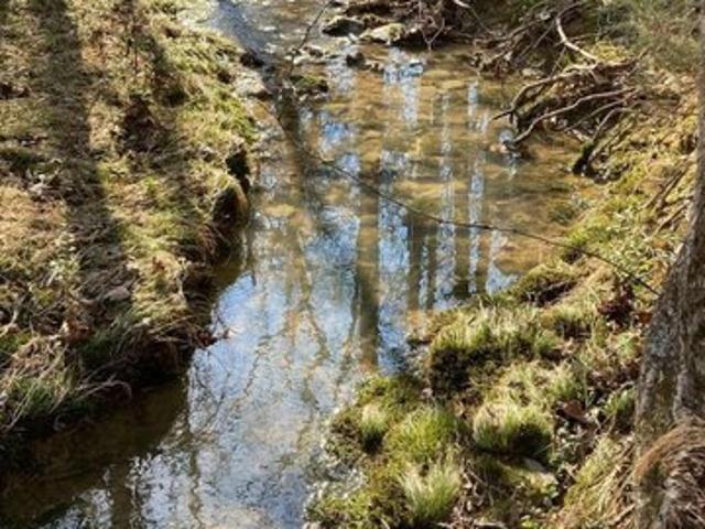 Land for sale in Albemarle, Stanly County