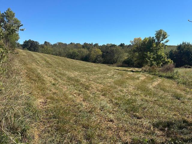 Farm for sale in Buena Vista, Cynthiana