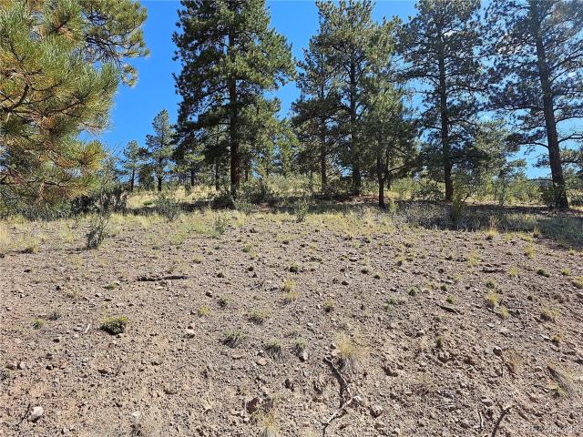 Land for sale in South Fork