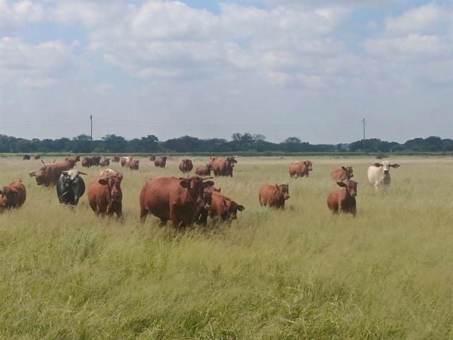 Farm for sale in Dr Ruth Segomotsi Mompati District Municipality, North West