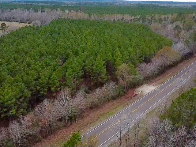 Land for sale in Groveton, Texas