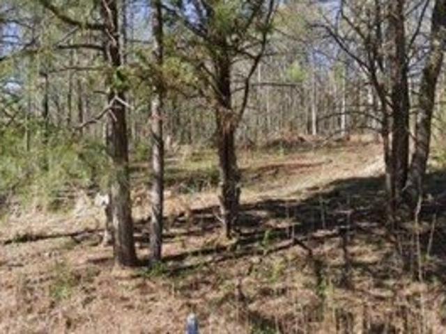 Land for sale in Nicholson, Georgia