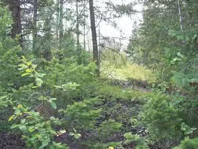 House for sale in West Central Okanagan Electoral Area, Regional District of Central Okanagan