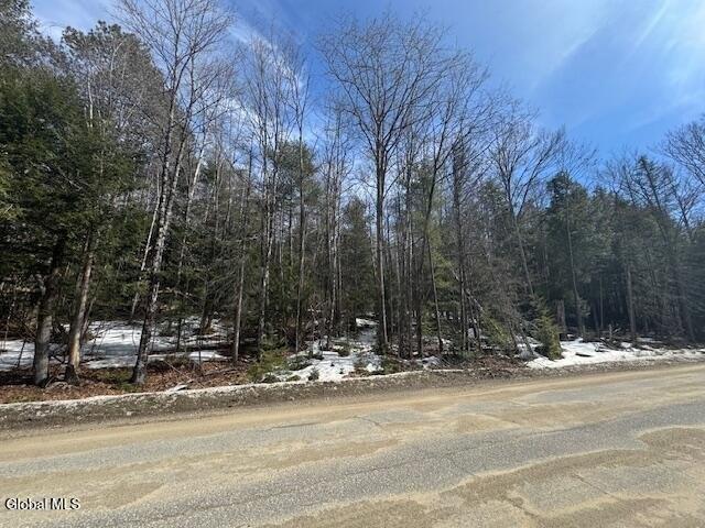 Land for sale in Riparius, New York